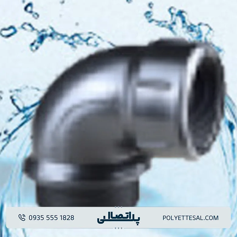 زانو چپقی کاوه گستر