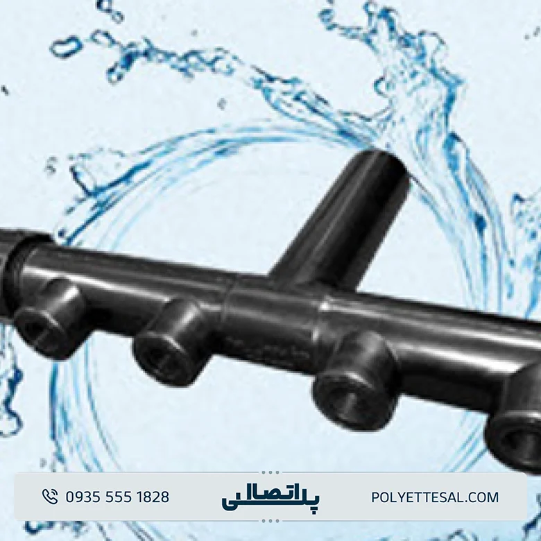 کلکتور کاوه گستر